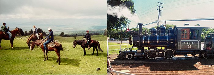 Maui Horse and Train